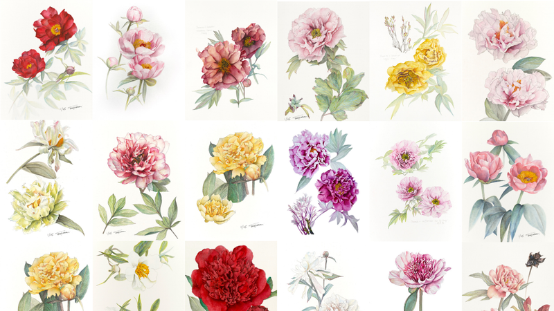 Botanical Studies