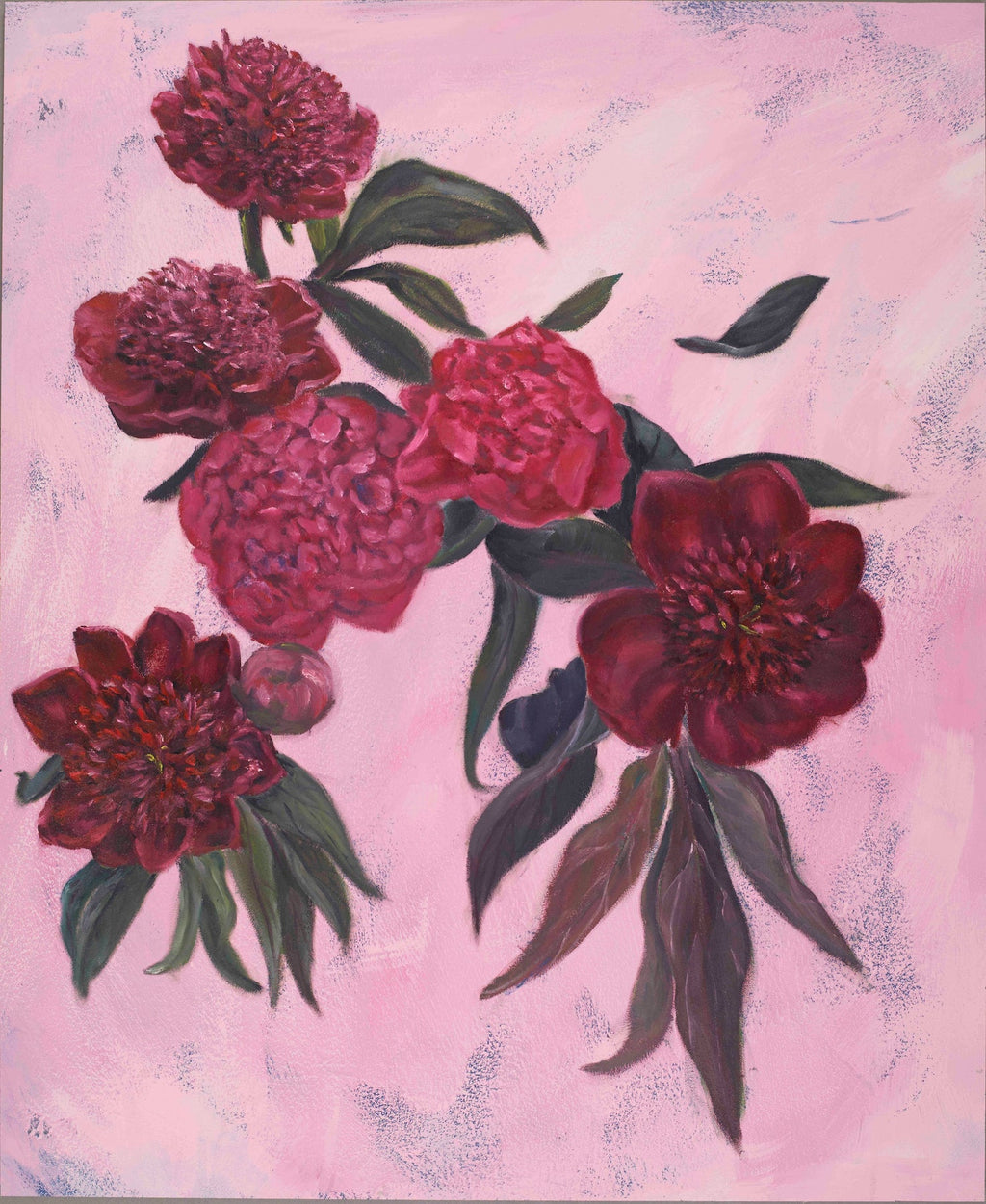 A painting of several dark red and pink peony flowers with green leaves on a textured light pink background.