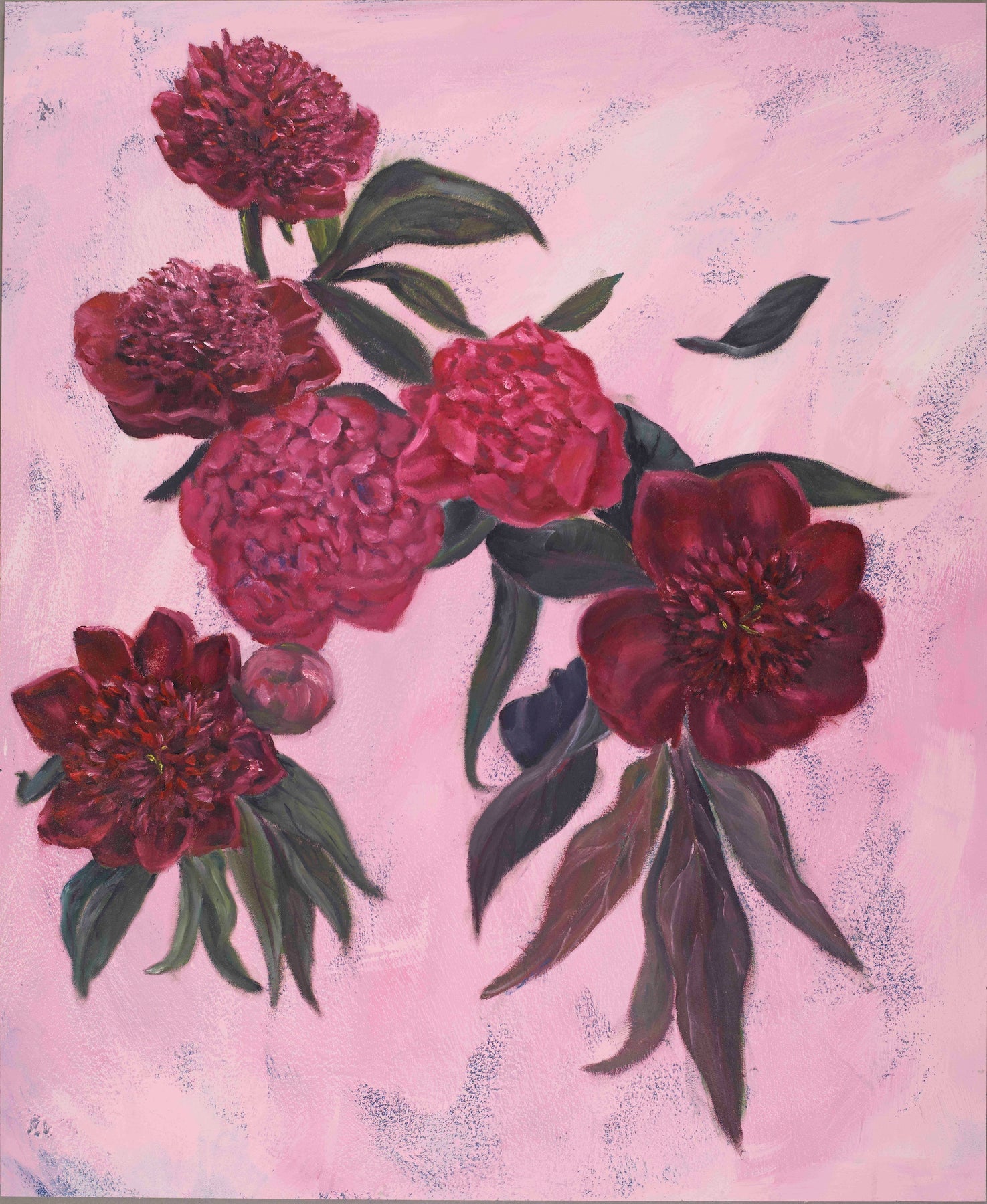 A painting of several dark red and pink peony flowers with green leaves on a textured light pink background.