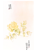 A traditional Chinese Gongbi painting of a pale yellow peony flower with green leaves on a soft pink and white background, featuring elegant black calligraphy and red seals.